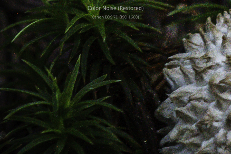 Color Noise-7D